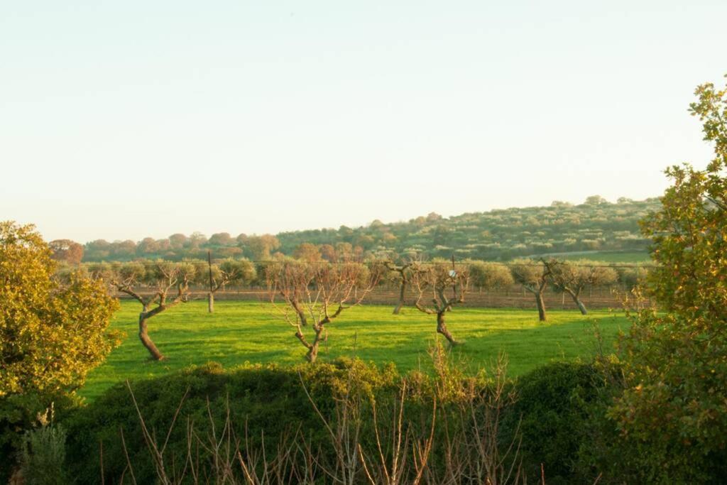 Il Pero Villa Monopoli Bagian luar foto
