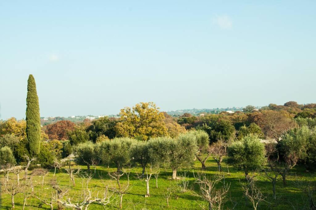 Il Pero Villa Monopoli Bagian luar foto